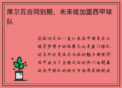 席尔瓦合同到期，未来或加盟西甲球队